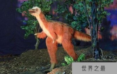 ​阿瓦拉慈龙（Alvarezsaurus）：体长2米且外形似鸟的恐龙