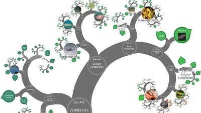 ​全球223万多个物种 都在这张史上最全？生物地图