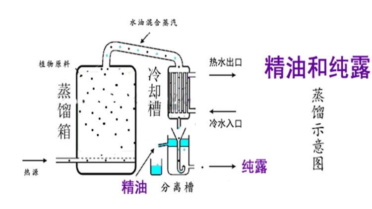 纯露怎么湿敷效果好？纯露湿敷的正确步骤