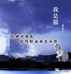 ​夏目漱石《我是猫》经典名句