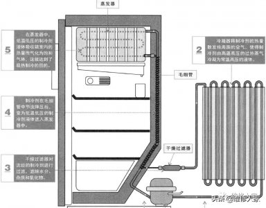 ​图解电冰箱的制冷原理