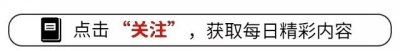 ​农保报销比例多少