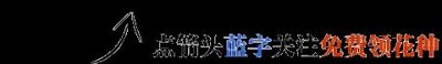 ​平安树多久浇一次水？其实很多人都错了